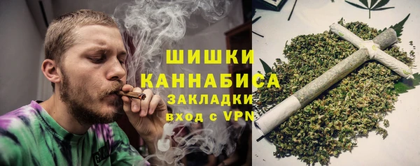 PSILOCYBIN Покачи
