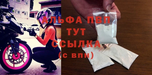 PSILOCYBIN Покачи
